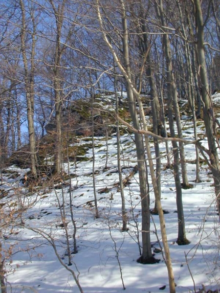 Bild 2 von Massenkalkklippen am Steinbruch Düstertal bei Bleiwäsche